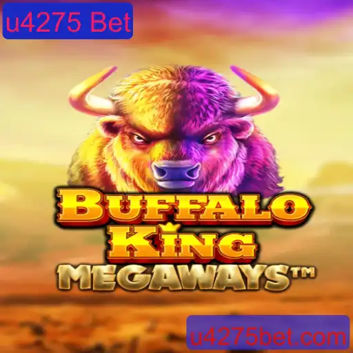 BuffaloKing: Desvendando o Empolgante Mundo dos Slots com a U4275 Bet